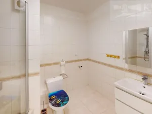 Pronájem bytu 3+kk, Příbram, Dlouhá, 63 m2