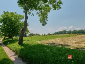 Prodej pozemku pro bydlení, Rychnov nad Kněžnou, 527 m2