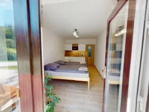 Pronájem bytu 1+kk, Příbram - Orlov, 22 m2