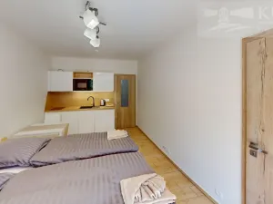 Pronájem bytu 1+kk, Příbram - Orlov, 22 m2