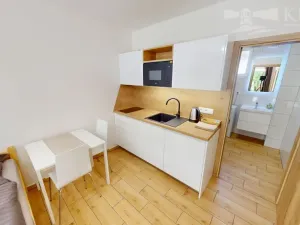 Pronájem bytu 1+kk, Příbram - Orlov, 22 m2