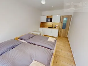 Pronájem bytu 1+kk, Příbram - Orlov, 22 m2