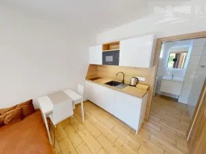 Pronájem bytu 1+kk, Příbram - Orlov, 22 m2