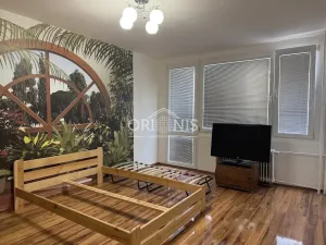 Pronájem bytu 2+1, Chomutov, Písečná, 62 m2