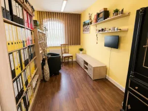 Prodej rodinného domu, Chudenín, 280 m2