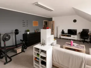 Prodej rodinného domu, Chudenín, 280 m2