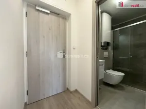 Pronájem bytu 1+kk, Břeclav, Břetislavova, 25 m2