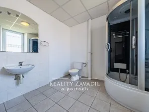 Prodej rodinného domu, Říčany, U Rybníka, 225 m2