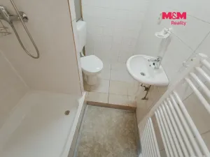Pronájem bytu 1+1, Janov, 37 m2