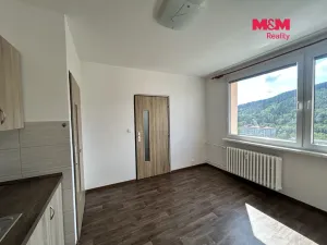 Pronájem bytu 1+1, Děčín, Nálepkova, 35 m2