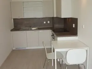 Pronájem bytu 1+kk, Střelice, Příční, 43 m2