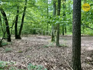 Prodej lesa, Brno - Řečkovice, 4307 m2