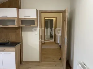 Pronájem bytu 2+kk, Prostějov, Šafaříkova, 55 m2
