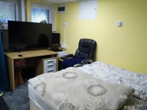 Pronájem bytu 1+kk, Ústí nad Labem, Chotkova, 35 m2