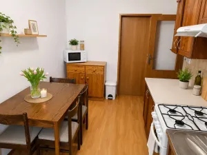 Pronájem bytu 2+1, Brno - Žabovřesky, Korejská, 52 m2