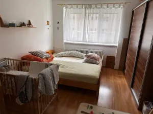 Pronájem bytu 2+1, Brno - Žabovřesky, Korejská, 52 m2
