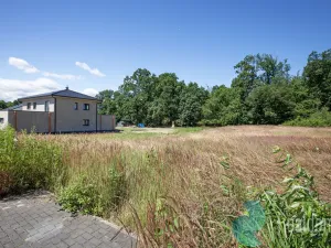 Prodej pozemku pro bydlení, Lukavice, 1218 m2