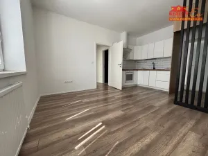 Prodej činžovního domu, Hradec Králové - Slezské Předměstí, Pouchovská, 460 m2