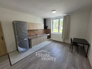 Pronájem bytu 1+kk, Krnov, Bruntálská, 45 m2