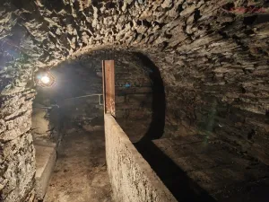 Prodej rodinného domu, Náměšť na Hané, Procházkova, 160 m2