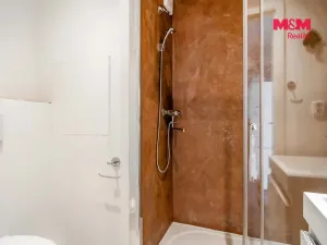 Prodej bytu 1+1, Česká Lípa, Vladimirská, 41 m2