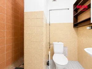 Pronájem bytu 1+1, Zlín, Družstevní, 20 m2