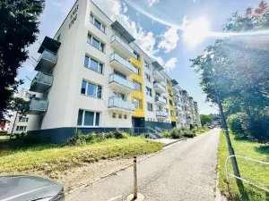 Pronájem bytu 1+1, Písek - Budějovické Předměstí, 17. listopadu, 40 m2