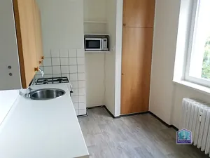 Pronájem bytu 1+1, Plzeň - Východní Předměstí, Brojova, 36 m2
