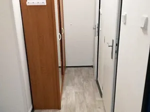 Pronájem bytu 1+1, Plzeň - Východní Předměstí, Brojova, 36 m2