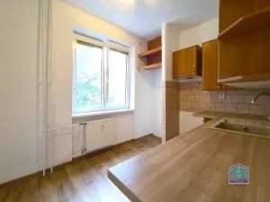 Prodej bytu 3+1, Stříbro, Brožíkova, 56 m2