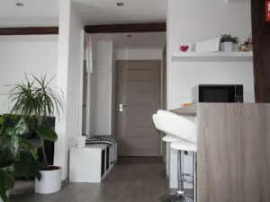 Pronájem bytu 1+kk, Olomouc - Hodolany, Za humny, 45 m2