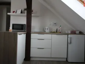 Pronájem bytu 1+kk, Olomouc - Hodolany, Za humny, 45 m2