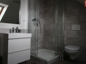 Pronájem bytu 1+kk, Olomouc - Hodolany, Za humny, 45 m2