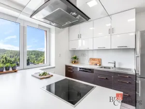 Prodej bytu 3+kk, Jablonec nad Nisou, Panenská, 96 m2