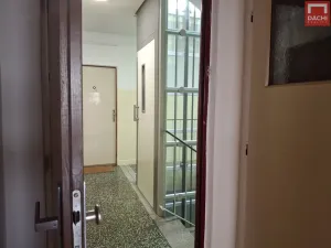 Pronájem bytu 1+kk, Olomouc - Lazce, Synkova, 34 m2