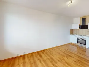 Pronájem bytu 1+kk, Ostrava - Výškovice, Lumírova, 28 m2