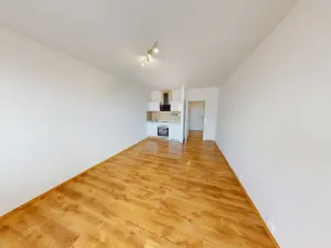 Pronájem bytu 1+kk, Ostrava - Výškovice, Lumírova, 28 m2