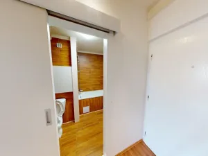Pronájem bytu 1+kk, Ostrava - Výškovice, Lumírova, 28 m2