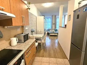 Pronájem bytu 1+1, Litomyšl, Smetanovo náměstí, 59 m2