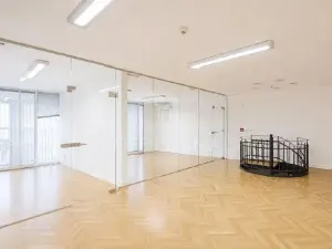 Pronájem kanceláře, Praha - Nové Město, Václavské náměstí, 466 m2