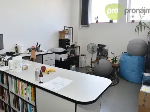 Pronájem obchodního prostoru, Ostrava, Cihelní, 701 m2
