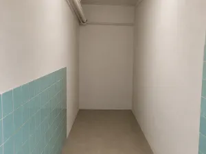 Pronájem skladu, Ostrava, Cihelní, 74 m2