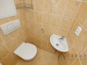 Pronájem bytu 1+kk, Liberec, Na Pískovně, 20 m2