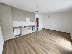 Pronájem bytu 1+kk, Olomouc, Rejskova, 32 m2