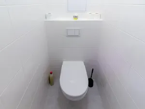 Pronájem bytu 2+kk, Klecany, V Honech, 46 m2