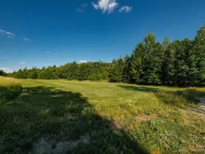 Prodej pozemku pro bydlení, Dírná, 1009 m2