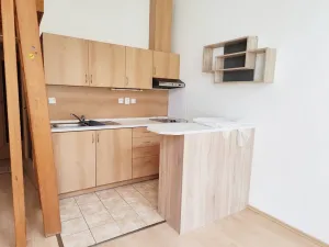 Pronájem bytu 1+kk, České Budějovice, Riegrova, 25 m2