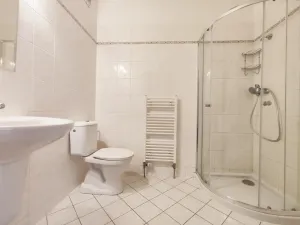 Pronájem bytu 1+kk, České Budějovice, Riegrova, 25 m2