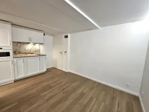 Pronájem bytu 1+kk, Praha, Nad Kajetánkou, 16 m2