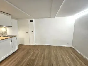 Pronájem bytu 1+kk, Praha, Nad Kajetánkou, 16 m2